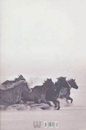 کتاب اسب هایی که در صحرا می دوند