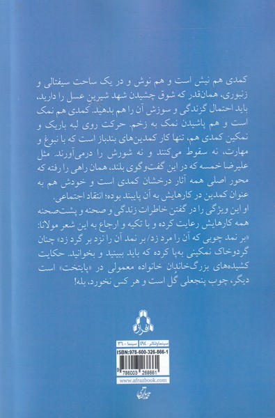 کتاب ماموریت آقای شادی