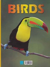 کتاب دانشنامه مصور پرندگان