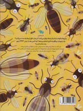 کتاب اسرار زنبورهای عسل (زرکوب)