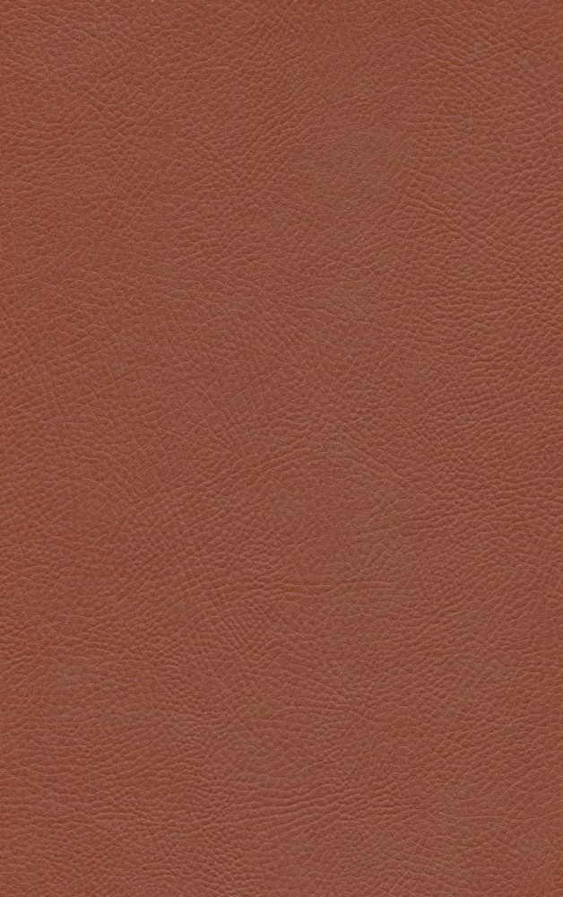 کتاب عشق هرگز نمی میرد