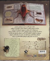 کتاب کتاب برجسته حشرات