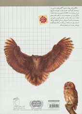 کتاب پرندگان شکاری