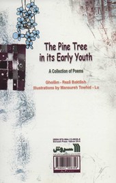 کتاب نوجوانی درخت کاج