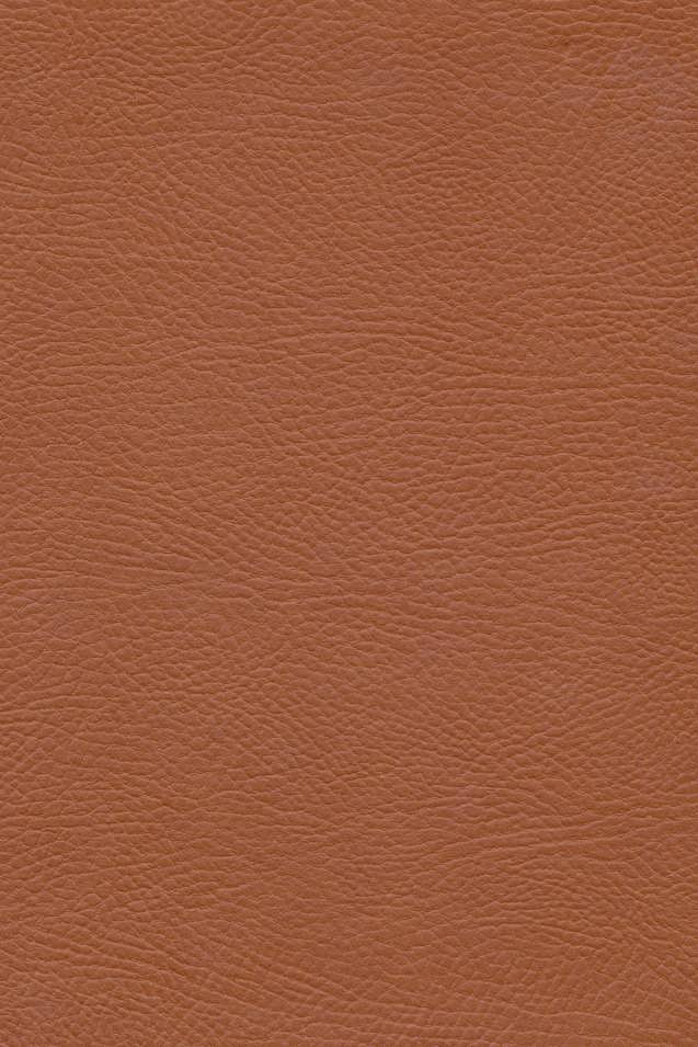 کتاب اودیسه