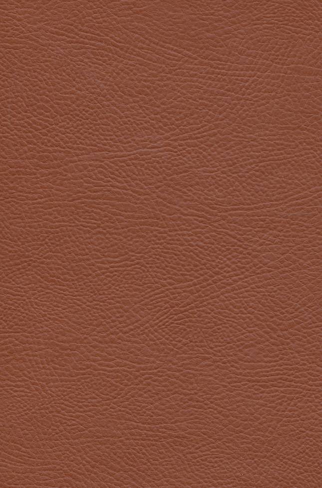 کتاب قمارباز