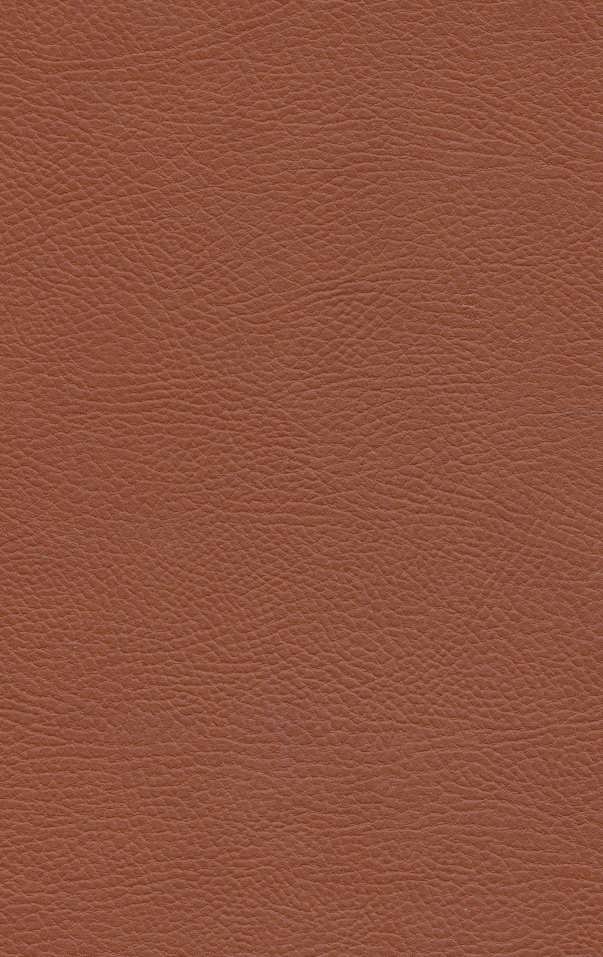 کتاب ابله