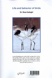 کتاب زندگی و رفتارشناسی پرندگان