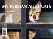 کتاب گربه های خیابانی ایران من