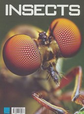 کتاب دانشنامه مصور حشرات