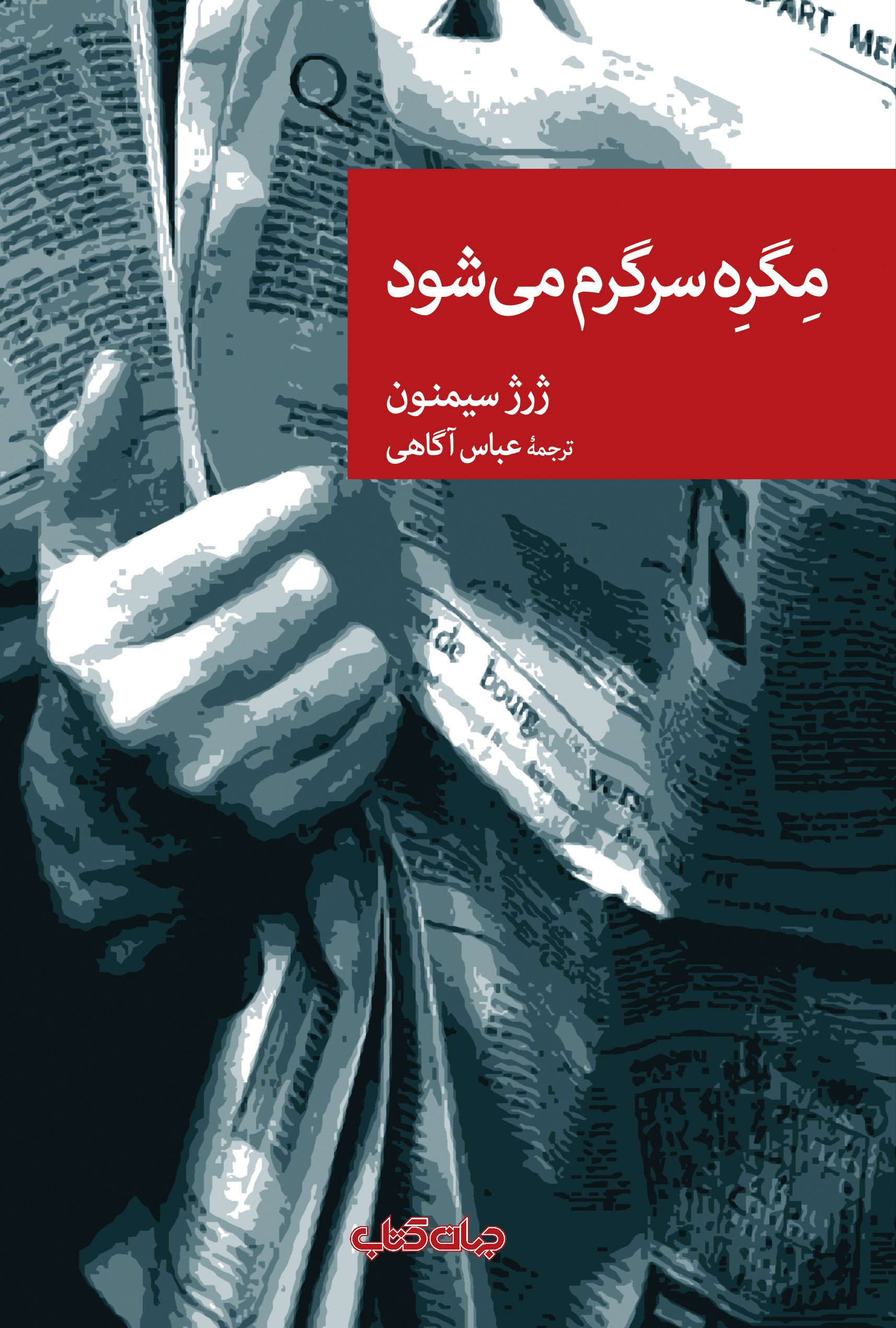 کتاب مگره سرگرم می شود