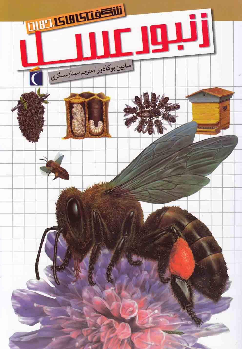  کتاب زنبور عسل