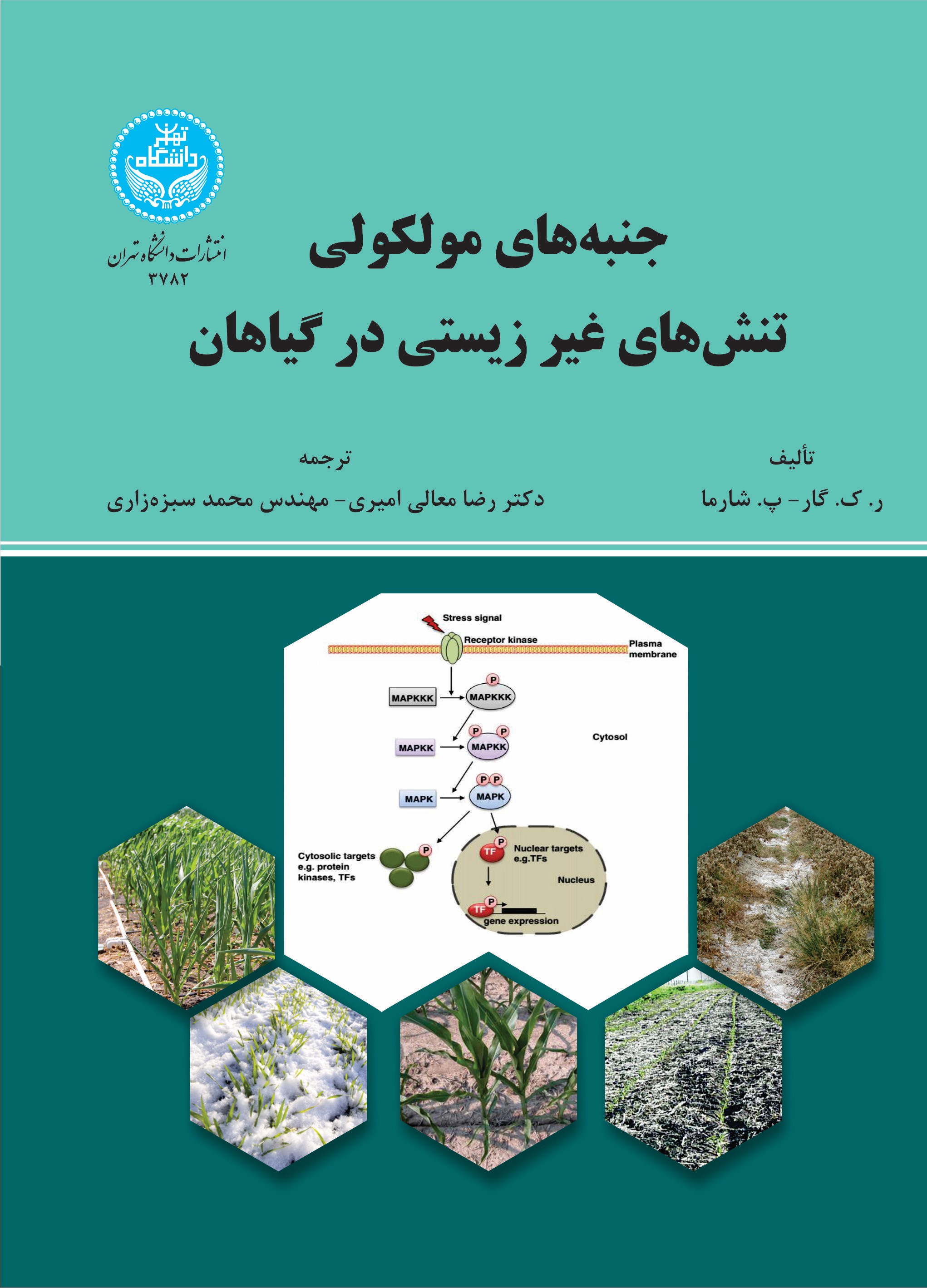  کتاب جنبه‌های مولکولی تنش‌های غیرزیستی در گیاهان