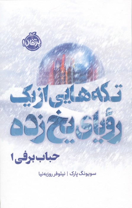 کتاب تکه هایی از یک رویای یخ زده