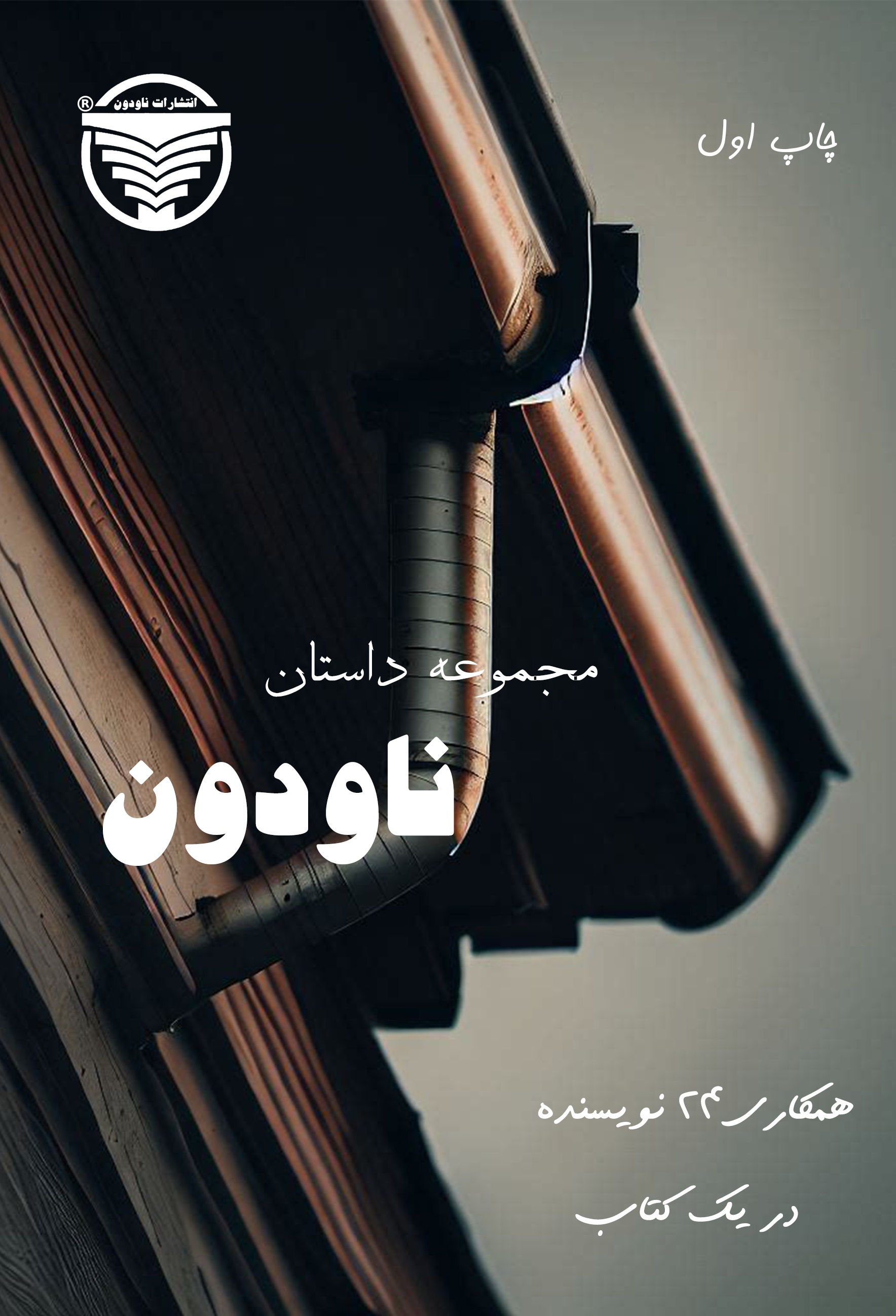  کتاب مجموعه داستان ناودون