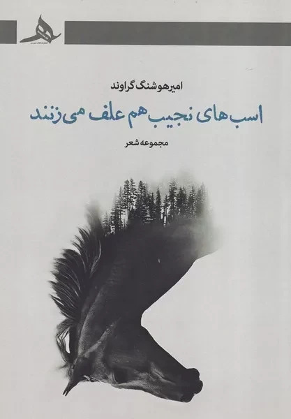  کتاب اسب های نجیب هم علف می زنند