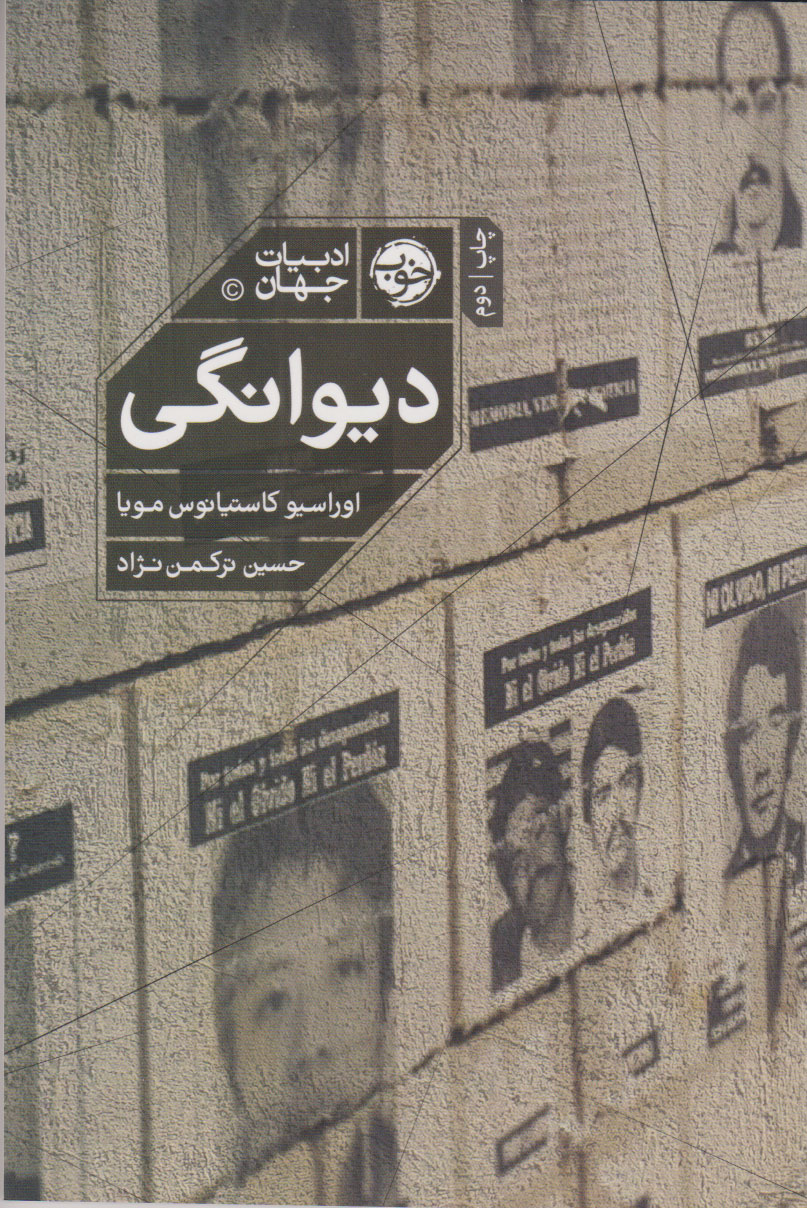  کتاب دیوانگی