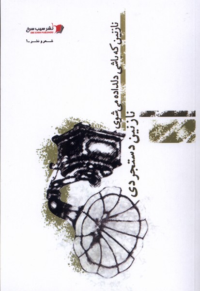  کتاب نازنین که باشی دلداده می شوی