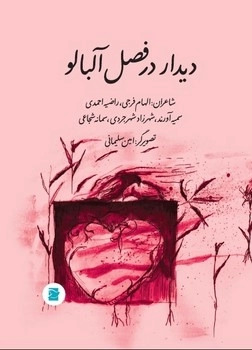  خريد کتاب  دیدار در فصل آلبالو