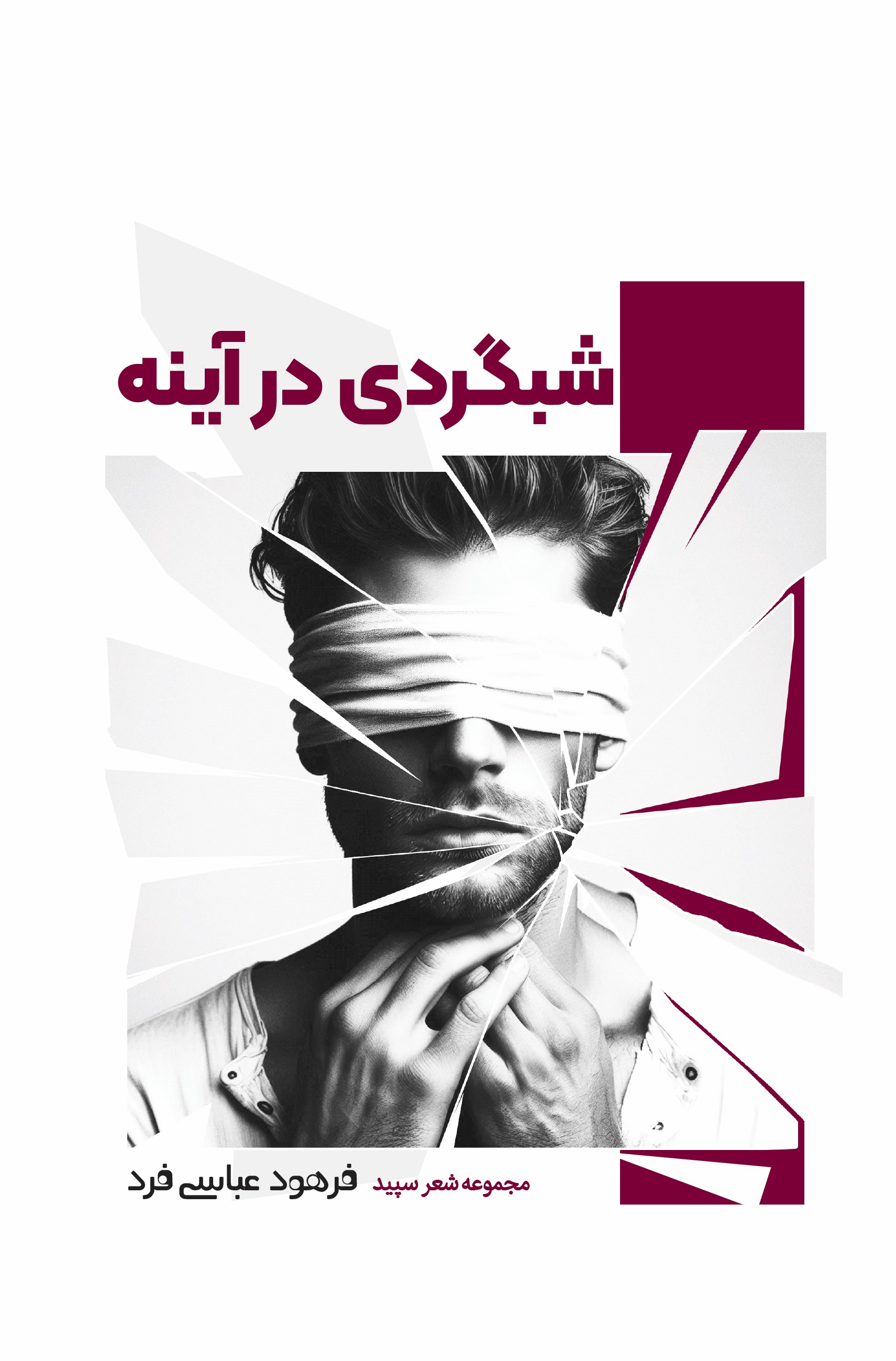  کتاب شبگردی در آینه