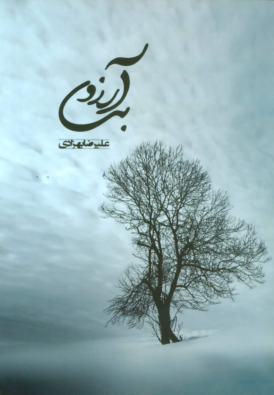  کتاب بی آرزو