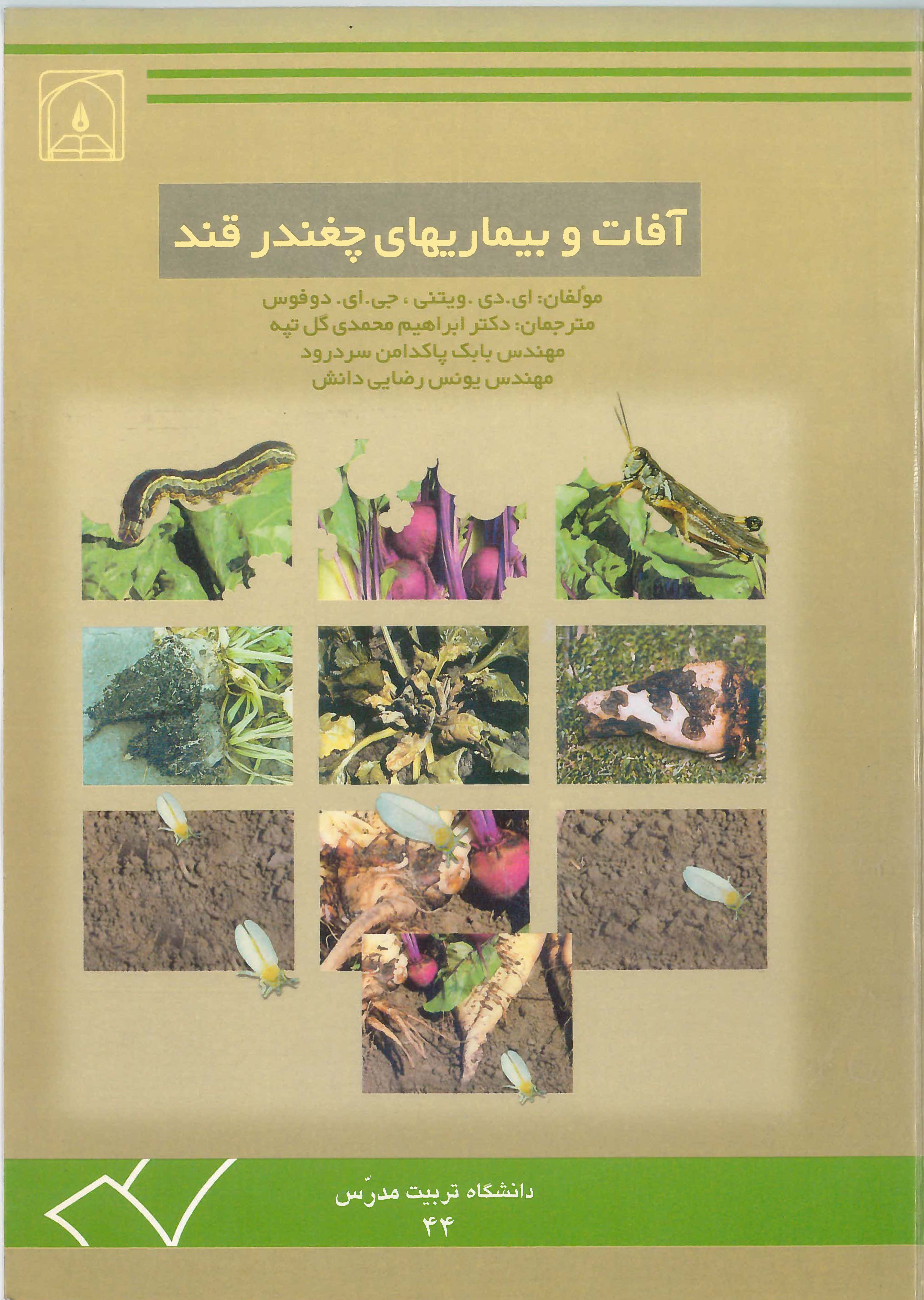 کتاب آفات و بیماریهای چغندرقند
