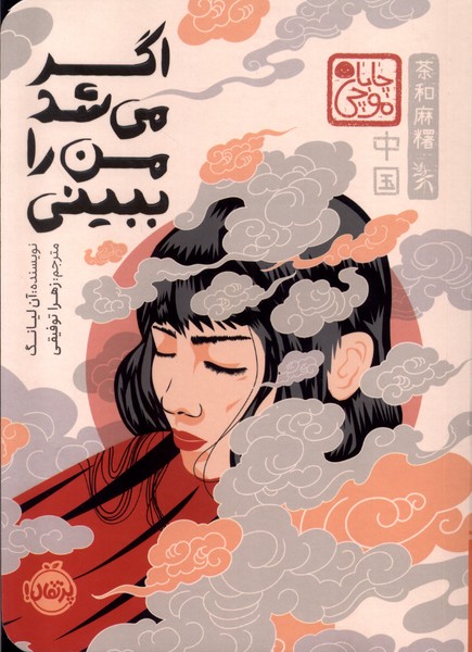 کتاب اگر می شد من را ببینی