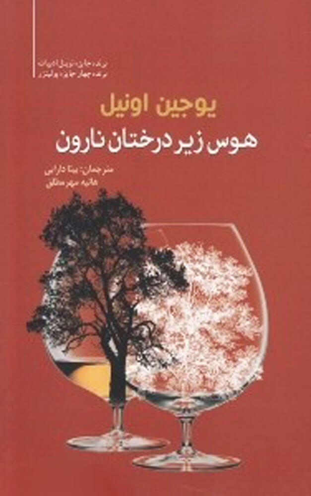 کتاب هوس زیر درختان نارون