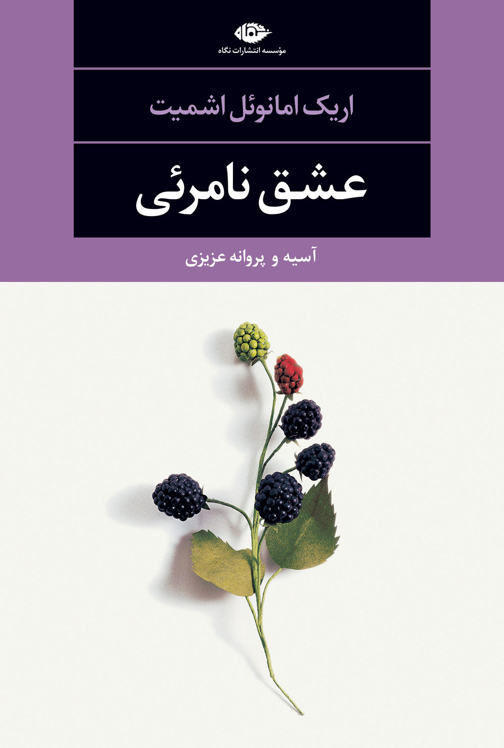 کتاب عشق نامرئی
