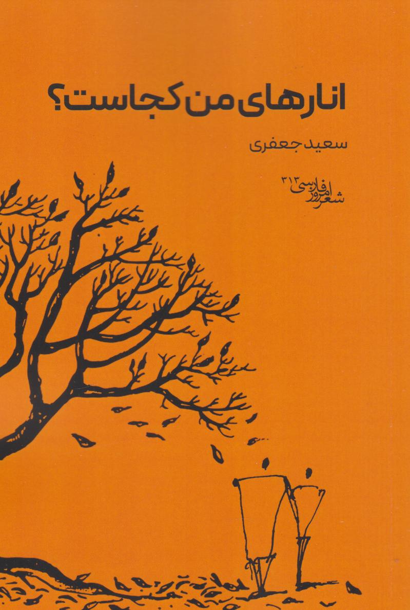  کتاب انارهای من کجاست؟