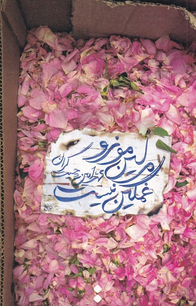  کتاب مرلین مونرو غمگین نیست