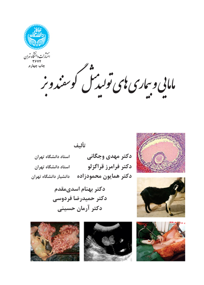  کتاب مامایی و بیماری‌ های تولیدمثل گوسفند و بز