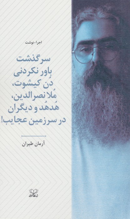  کتاب سرگذشت باورنکردنی دن کیشوت،ملانصرالدین،هدهد و دیگران در سرزمین عجایب!