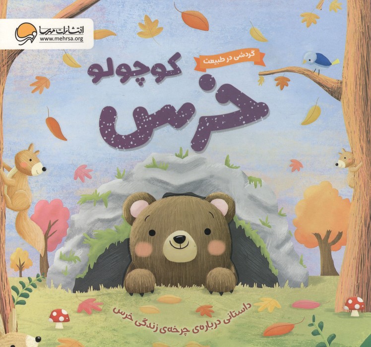 کتاب خرس کوچولو : داستانی درباره ی چرخه ی زندگی خرس