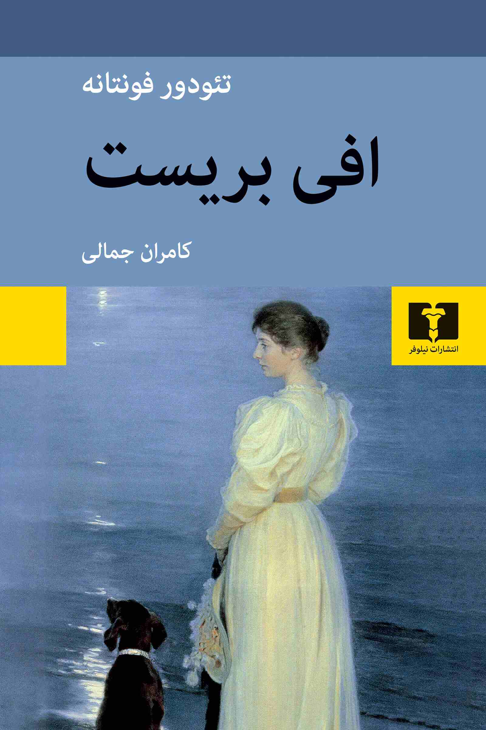  کتاب افی بریست