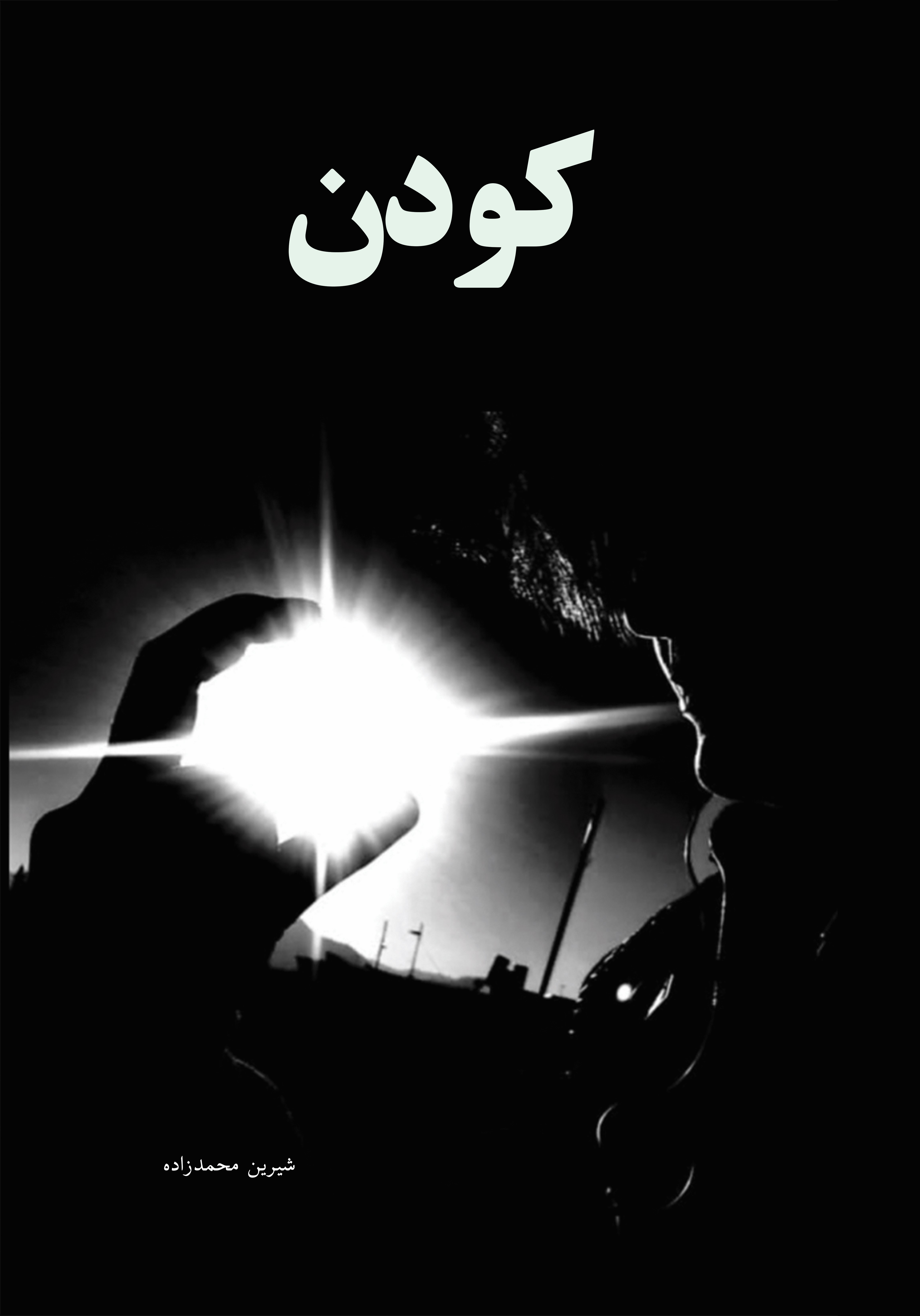  کتاب کودن