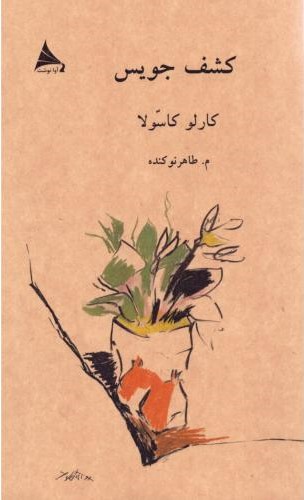  خريد کتاب  کشف جویس