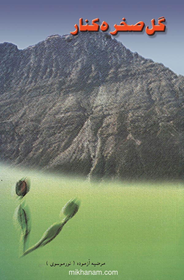  کتاب گل صخره کنار