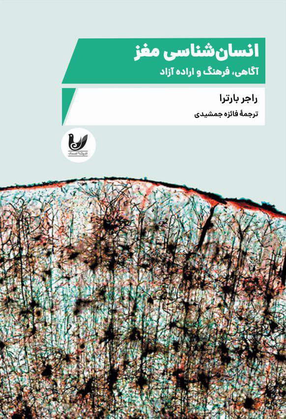  کتاب انسان شناسی مغز