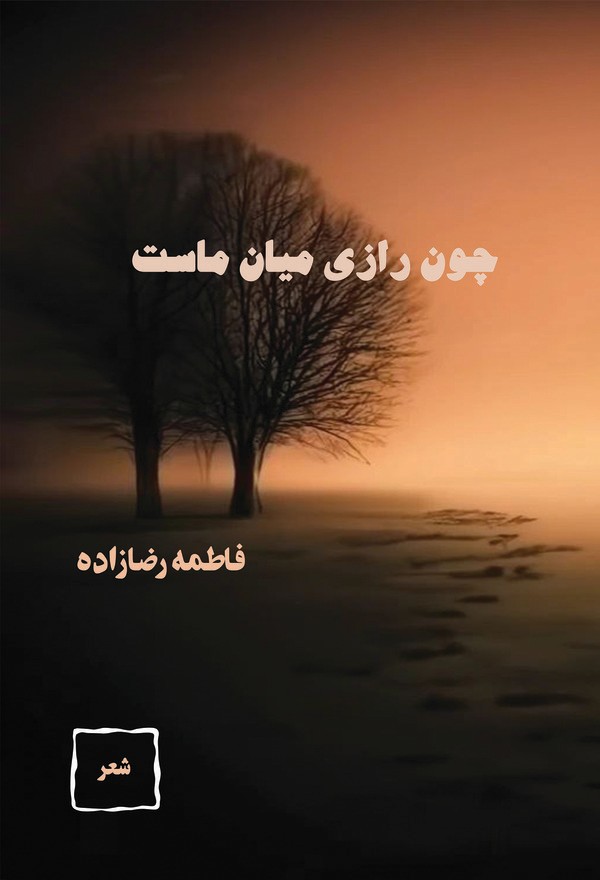 کتاب چون رازی میان ماست