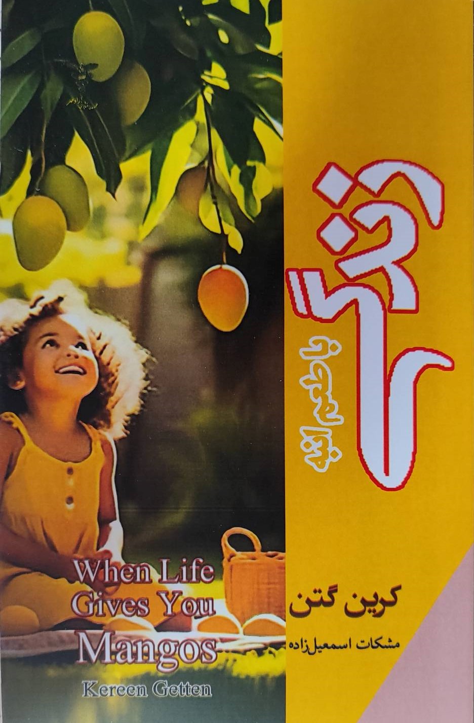  کتاب زندگی با طعم انبه