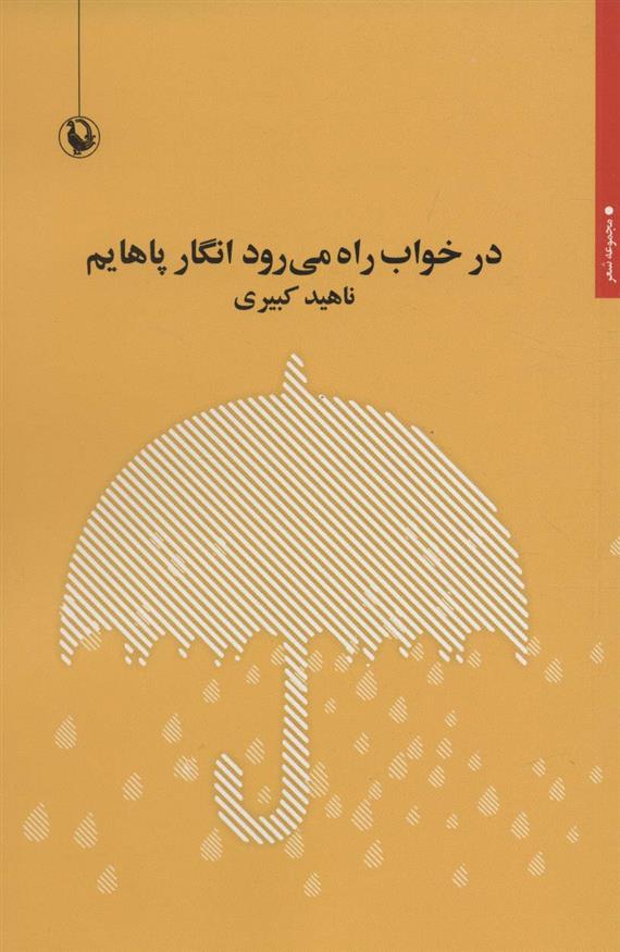 کتاب در خواب راه می رود انگار پاهایم