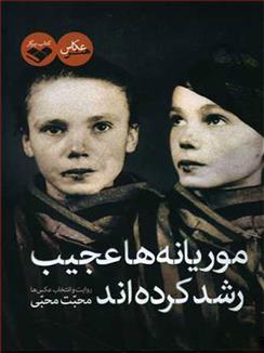 کتاب موریانه ها عجیب رشد کرده اند