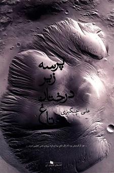 کتاب پرسه زیر درختان تاغ