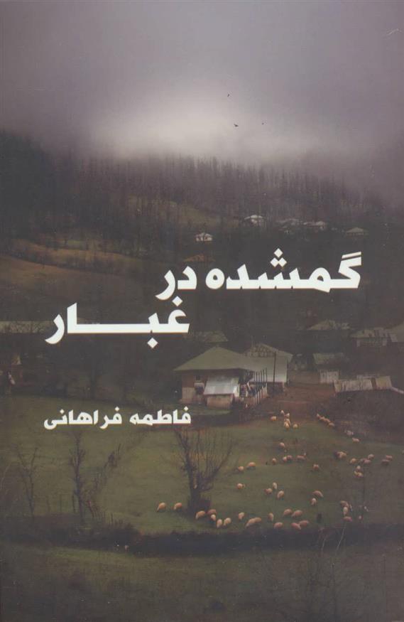 کتاب گمشده در غبار