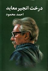 کتاب درخت انجیر معابد (۲ جلدی)