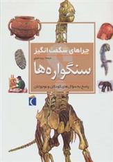 کتاب سنگواره ها;