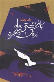 کتاب با مشتی ماه در فک پنجره