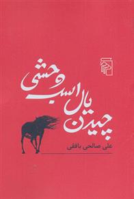 کتاب چیدن یال اسب وحشی