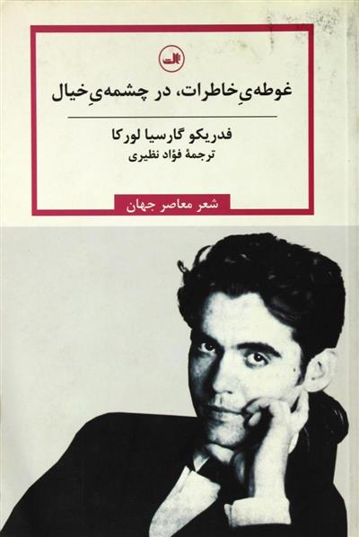 کتاب غوطه ی خاطرات،در چشمه ی خیال;